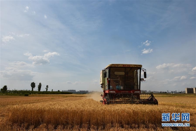 1126037182_15905376194751n 1126037182_15905376194751n