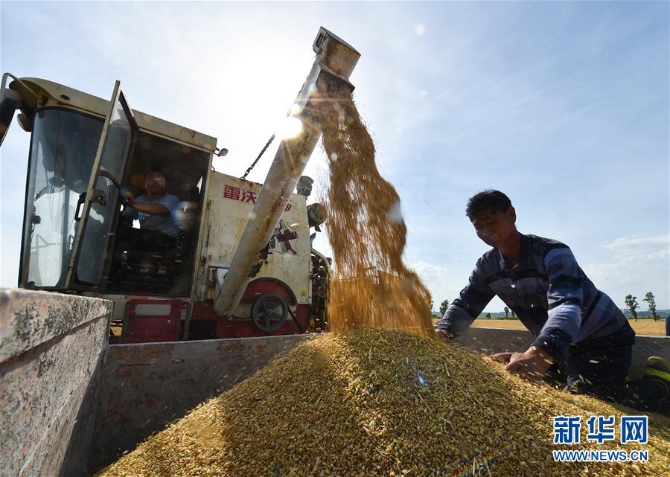 1126037182_15905376195011n 1126037182_15905376195011n