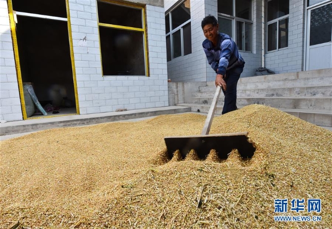 1126037182_15905376195321n 1126037182_15905376195321n