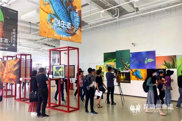 《大自然的禮贊》展廳一角。