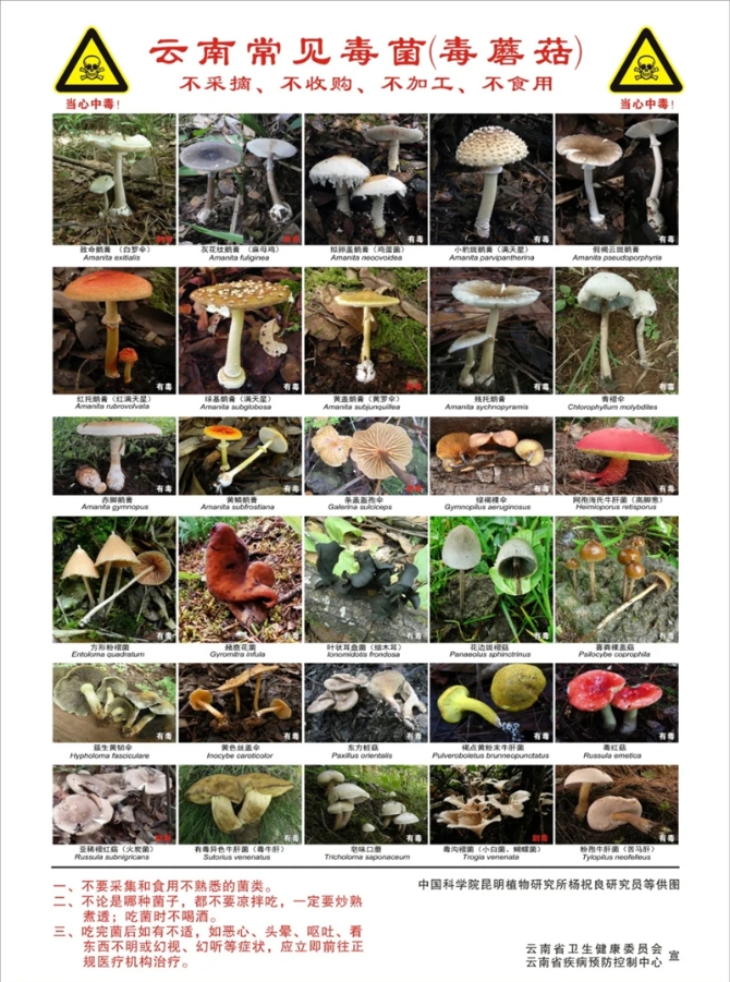 640.webp_副本 640.webp_副本