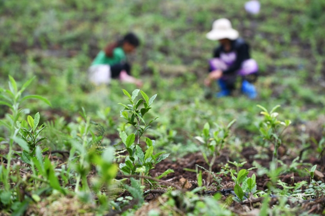 3XxjinmC007016_20200527_CBMFN0A004.jpg@1000w_1e_1c_80Q_1x