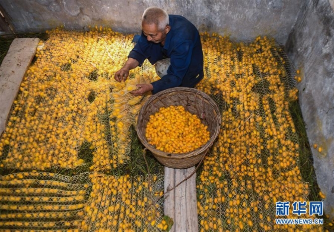 1126041626_15905824059471n 1126041626_15905824059471n