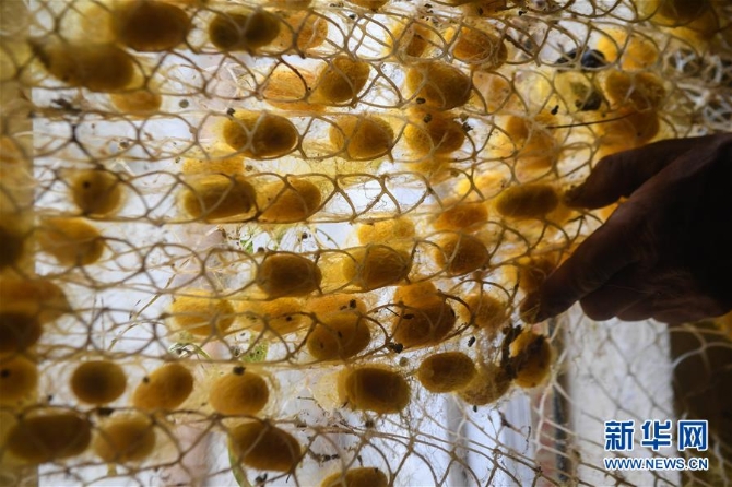 1126041626_15905824059791n 1126041626_15905824059791n