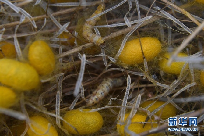 1126041626_15905824060151n 1126041626_15905824060151n