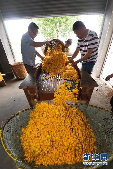 1126041626_15905824060401n 1126041626_15905824060401n