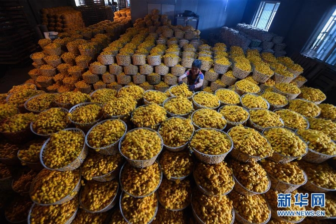 1126041626_15905824060681n 1126041626_15905824060681n