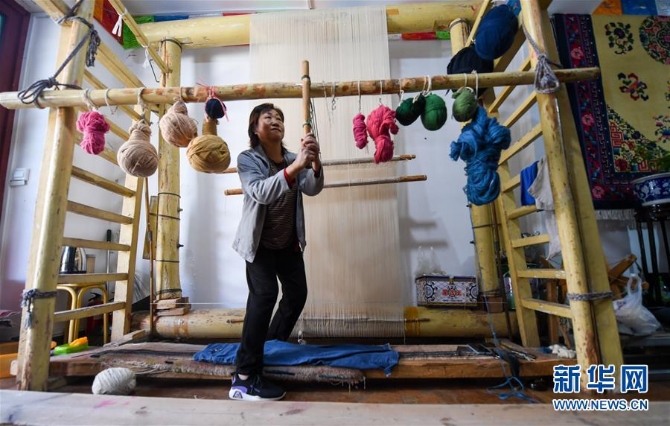 (圖片故事)(2)段麗珍:讓阿拉善仿古地毯綻放異彩