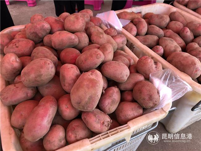 新鮮的洋芋顆顆飽滿