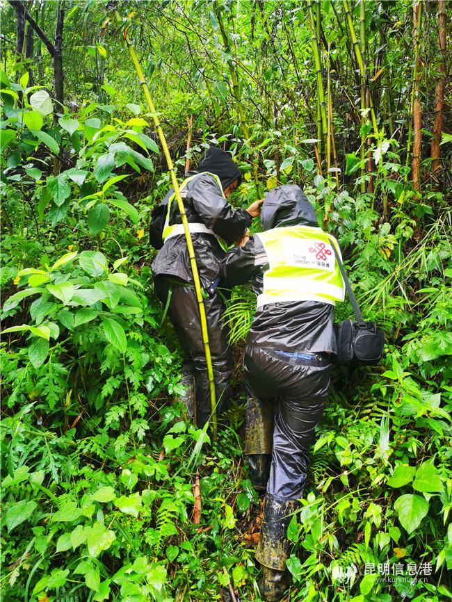 聯(lián)通公司圖3 聯(lián)通公司圖3