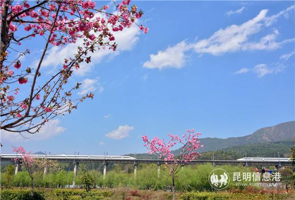 徐繼發(fā) 攝 徐繼發(fā) 攝