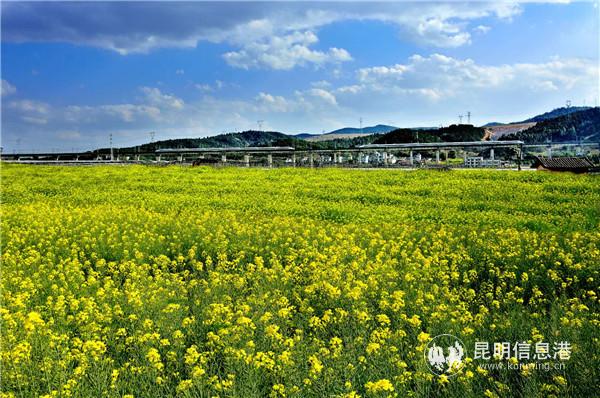 徐繼發(fā) 攝1 徐繼發(fā) 攝1