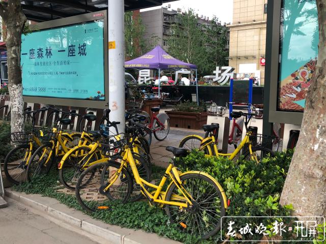 涉2.4億執(zhí)行款 OFO 小黃車執(zhí)行裁定書曝光 名下已無財(cái)產(chǎn) (1).jpg