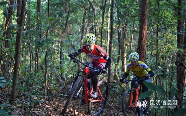 QQ圖片20200602151017 QQ圖片20200602151017