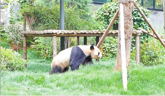 QQ截圖20200603083959