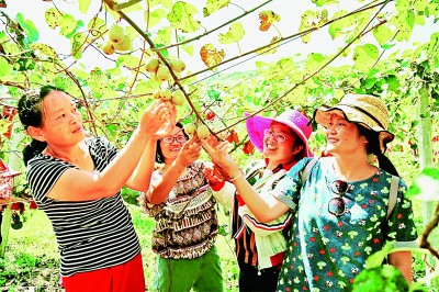 打好脫貧“組合拳” 奔向美好新生活