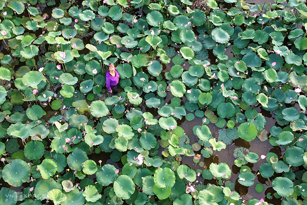 sn1-1591067943 sn1-1591067943