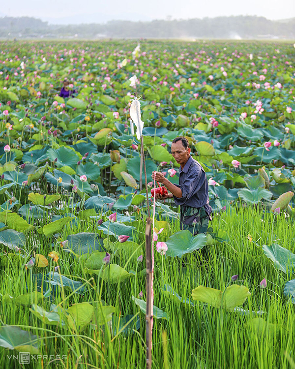 sn2-1591067945 sn2-1591067945