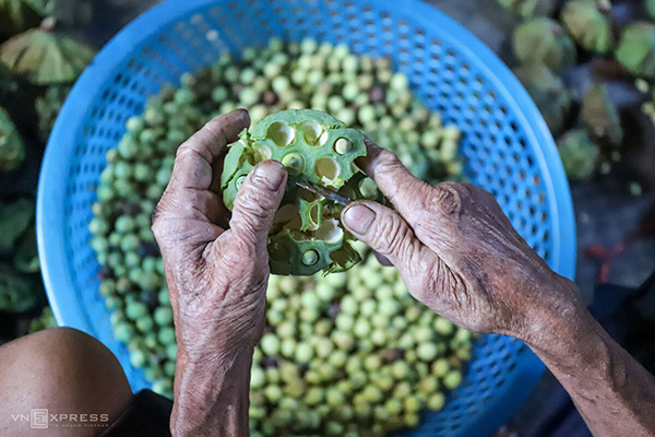 sn11-1591067960 sn11-1591067960