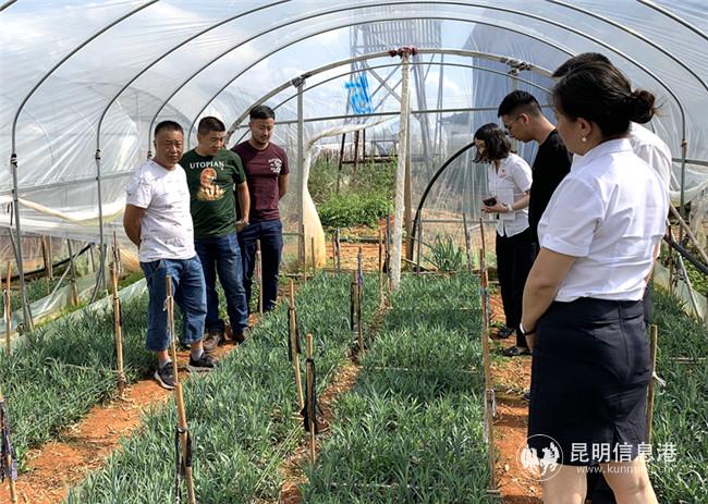 微信圖片_20200603164433_副本 微信圖片_20200603164433_副本