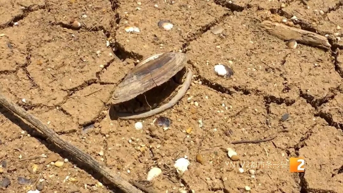 太平新城多小區(qū)停水，居民生活受影響，安寧組織應(yīng)急供水