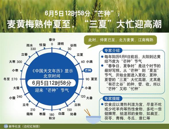 （圖表）［傳統(tǒng)節(jié)氣·芒種］6月5日12時58分“芒種”：麥黃梅熟仲夏至，“三夏”大忙迎高潮