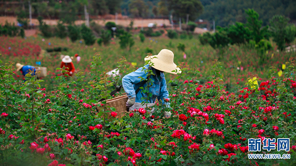 139089163_15911934036171n 139089163_15911934036171n