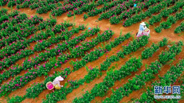 139089163_15911934037051n 139089163_15911934037051n