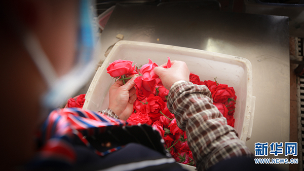 139089163_15911934038761n 139089163_15911934038761n