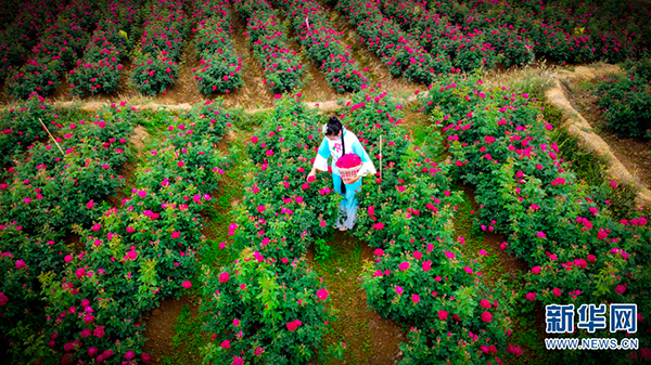 139089163_15911934044341n 139089163_15911934044341n