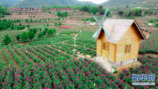 139089163_15911934045431n 139089163_15911934045431n