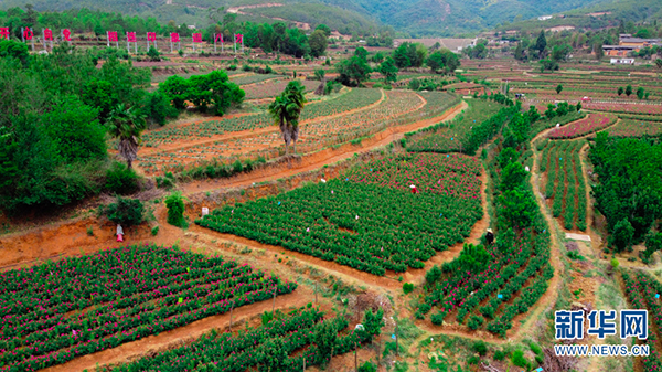 139089163_15911934046461n 139089163_15911934046461n