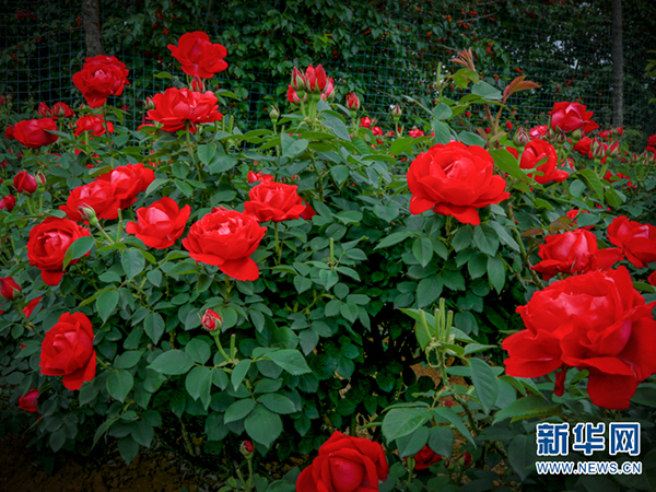 139089163_15911934047471n 139089163_15911934047471n