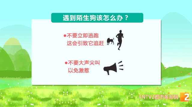 昆明市民反映狂犬疫苗緊張15.png