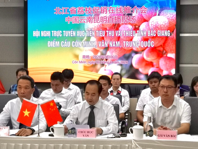 微信圖片_20200606155442 微信圖片_20200606155442