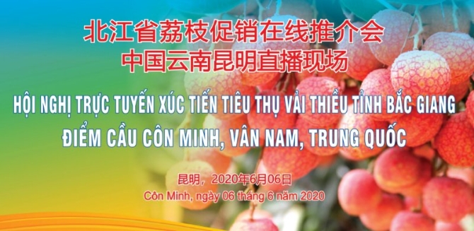 微信圖片_20200606155458 微信圖片_20200606155458