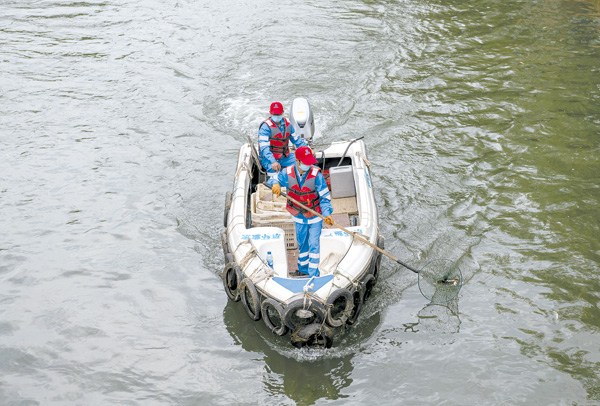 XxjpsgC007073_PEPFN1A001 XxjpsgC007073_PEPFN1A001