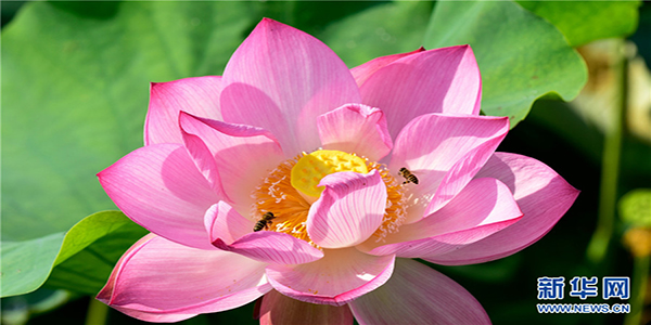 139121112_15915208707361n 139121112_15915208707361n