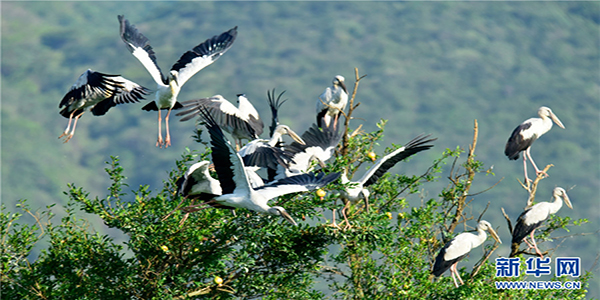 139121112_15915208708601n 139121112_15915208708601n