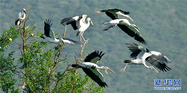 139121112_15915208710051n 139121112_15915208710051n