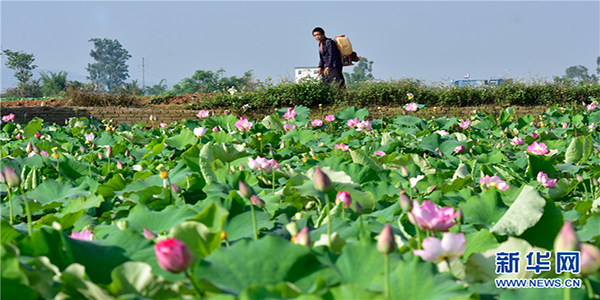 139121112_15915208712461n 139121112_15915208712461n