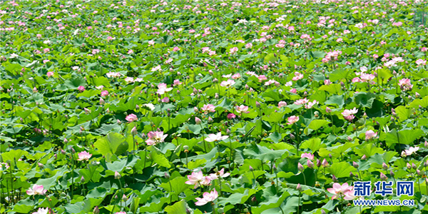 139121112_15915208713581n 139121112_15915208713581n