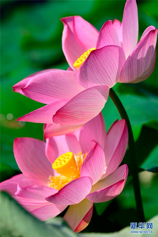 139121112_15915208705171n 139121112_15915208705171n