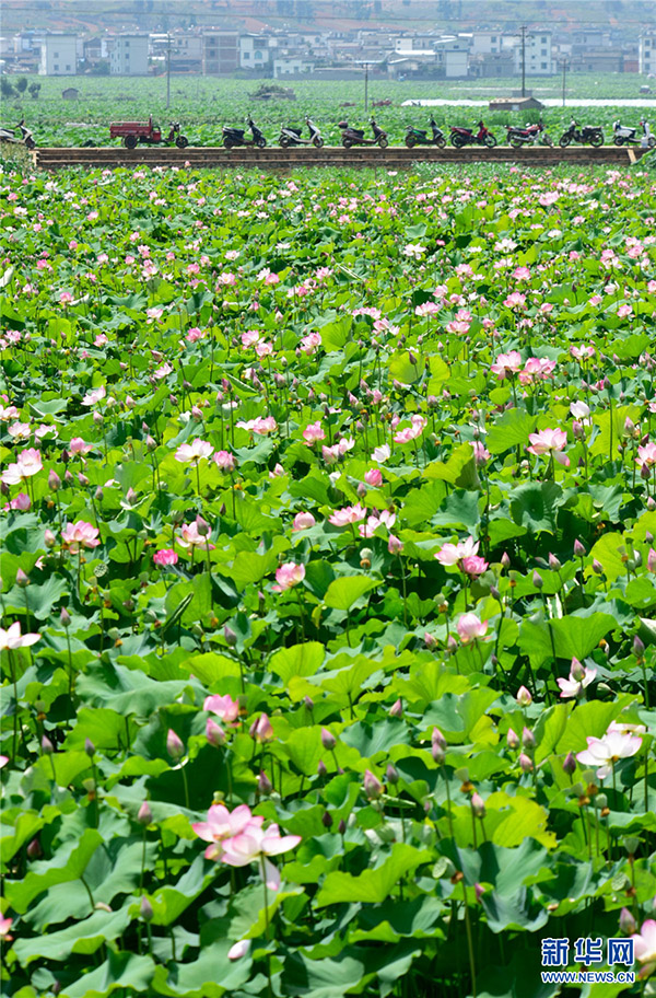 139121112_15915208714941n 139121112_15915208714941n