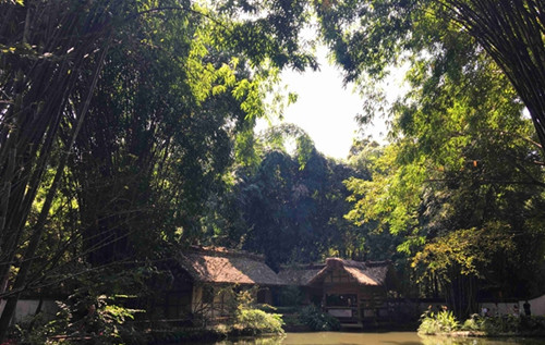 文物賦彩 今年的文化和自然遺產(chǎn)日有哪些“亮點(diǎn)”