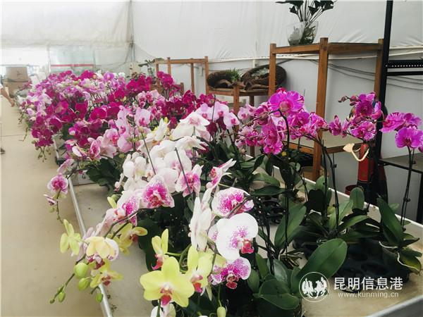 秀海生物科技有限公司 秀海生物科技有限公司