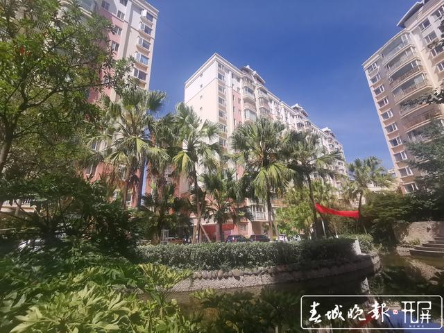 昆明一小區(qū)所有電梯遭停用