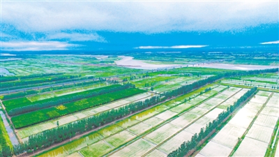<p>　　黃河吳忠段，滔滔黃河水潤(rùn)澤萬(wàn)頃稻田，養(yǎng)育兩岸百姓。本報(bào)記者　錢建忠　攝　</p>