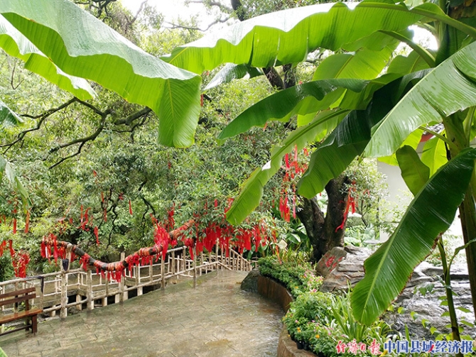 康縣白楊鎮(zhèn)桂花莊一角。（焦楊紅攝）