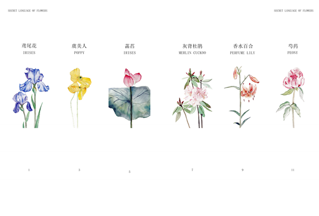 速視覺(jué)團(tuán)隊(duì)“采花集”繪本 (1)